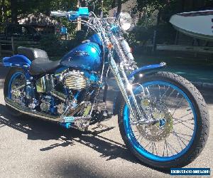 1992 Harley-Davidson Softail