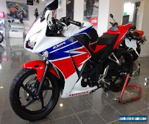 Honda CBR 300 RA-F