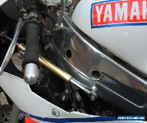 Yamaha TZ250A 3TC 1990 - Racebike - Reverse Type - Original