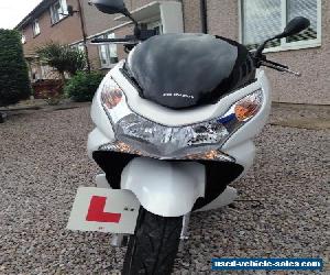 Honda PCX 125 Commuter Scooter for Sale