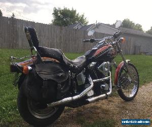 1999 Harley-Davidson Softail