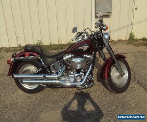 2001 Harley-Davidson Softail