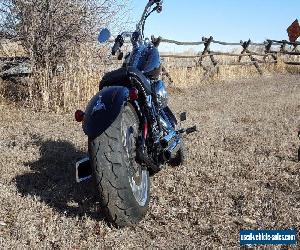 2008 Harley-Davidson Softail