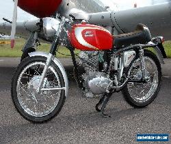 1965 Ducati Other for Sale