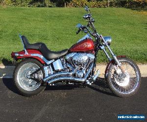 2009 Harley-Davidson Softail