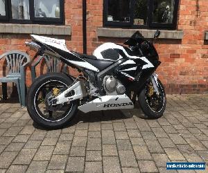 honda cbr600rr for Sale