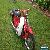 Honda C90 for Sale