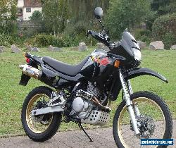 Honda NX650 Dominator for Sale