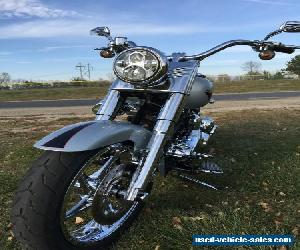 2010 Harley-Davidson Softail