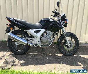 Honda CBF 250 Lams approved 2007  LOW K'S with full gear + RWC + NEW BATTERY