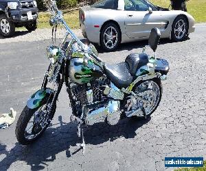 2009 Harley-Davidson Softail