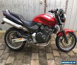 Honda Hornet 250 Road Bike Lams Approved VGC Bargain Cheap Starts and Runs Great for Sale