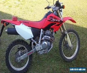 2007 Honda XR250 Trail/Dirt Bike