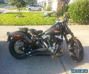 2010 Harley-Davidson Softail