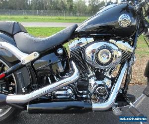 2013 Harley-Davidson Softail