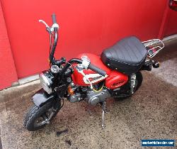 Honda Monkey Z50 JL RARE Original Barn Find for Sale