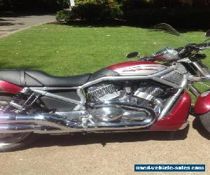 2006 Harley-Davidson VRSC