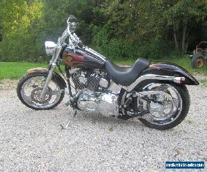 2002 Harley-Davidson Softail