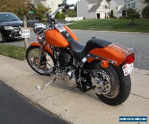 1993 Harley-Davidson Softail