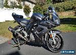 2008 Suzuki SV for Sale