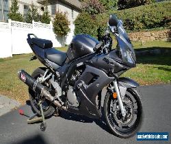 2008 Suzuki SV for Sale