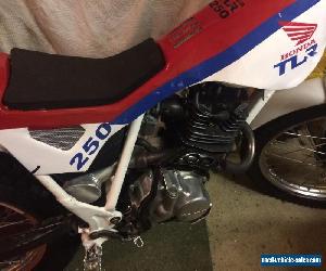 Honda TLR 250 trials twinshock (TLR250 twin shock)