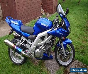 suzuki sv1000s 