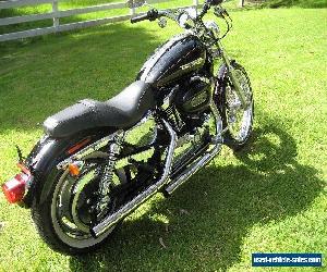 HARLEY DAVIDSON XLH1200 SPORTSTER 2009'