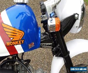 Honda Z50 JZ 3/81 Custom Z50 Monkey Bike 12 Volt! RWC