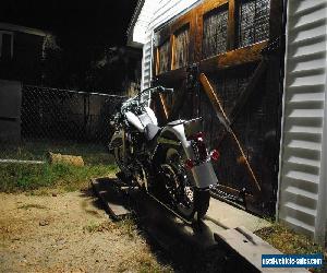 2009 Harley-Davidson Softail