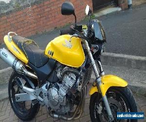 honda hornet 600