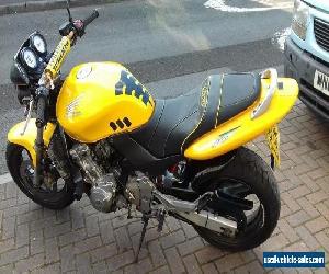 honda hornet 600