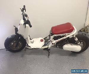 2012 Honda Ruckus