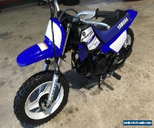 YAMAHA PW50