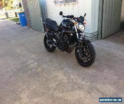 Yamaha FZ6N for Sale