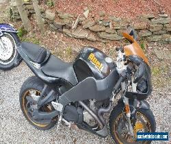 2004 Buell Firebolt for Sale