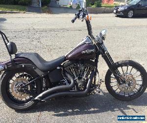 2007 Harley-Davidson Softail