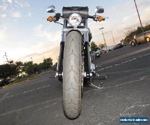 2014 Harley-Davidson Softail