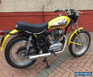 Ducati 250 Street Scrambler. Wide case. Lovely condition. 