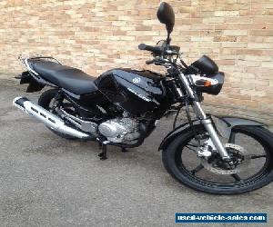 YAMAHA YBR 125 2011- 12 Months Mot