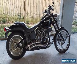 2007 Harley Davidson Night Train for Sale