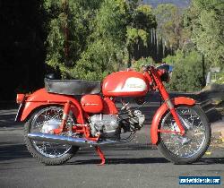 1962 Harley-Davidson 250cc Ala Azzurra for Sale