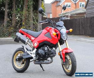 Honda MSX 125 Great Commuter/Starter Bike!!