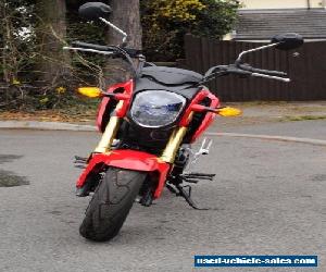 Honda MSX 125 Great Commuter/Starter Bike!!