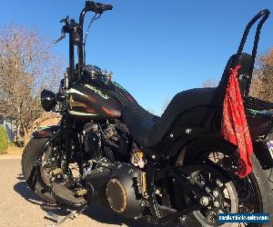 2009 Harley-Davidson Softail