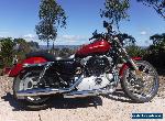 Harley Sportster Custom 883 (XL883C) 2007 Fuel Injected. Good condition.  for Sale