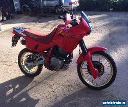 Honda nx650 Dominator for Sale