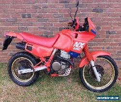 Honda NX650 Dominator for Sale