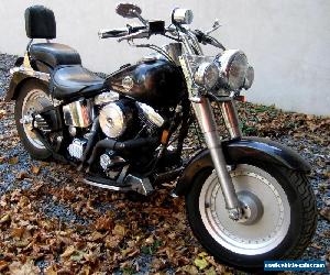 1993 Harley-Davidson Softail