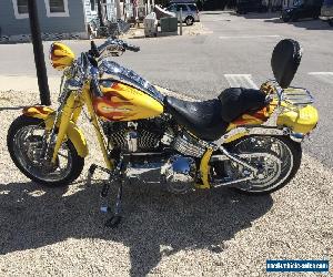 2009 Harley-Davidson Softail